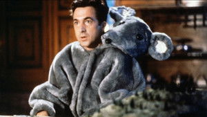 Backdrop Sexes faibles!