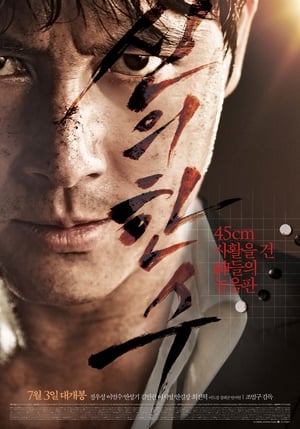 Póster de la película Sin-ui Hansu (The Divine Move)