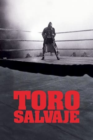 Póster de la película Toro salvaje