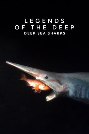 Póster de la película Legends of the Deep: Deep Sea Sharks