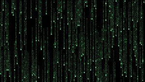 Matrix