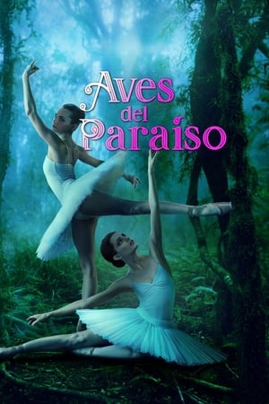 Póster de la película Aves del paraíso