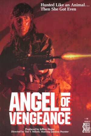 Póster de la película Angel of Vengeance