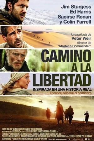 Póster de la película Camino a la libertad