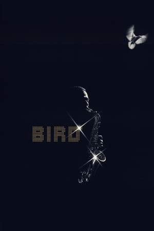 Póster de la película Bird