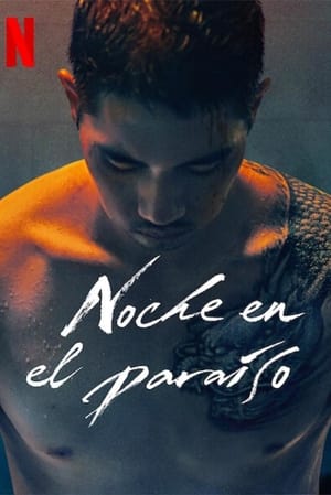 Póster de la película Noche en el paraíso