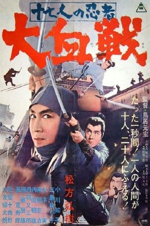 Póster de la película 十七人の忍者 大血戦