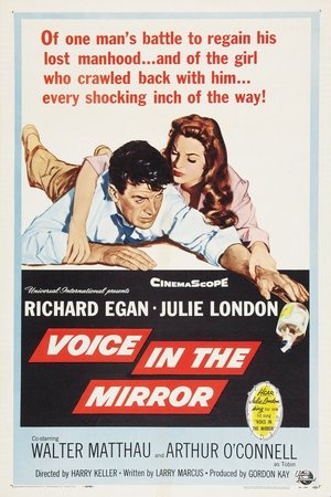 Póster de la película Voice in the Mirror