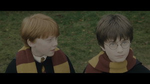 Harry Potter and the Philosopher's Stone