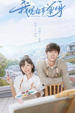 Póster de la serie 我凭本事单身