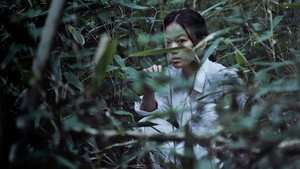 The Wailing