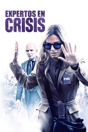 Póster de la película Expertos en crisis