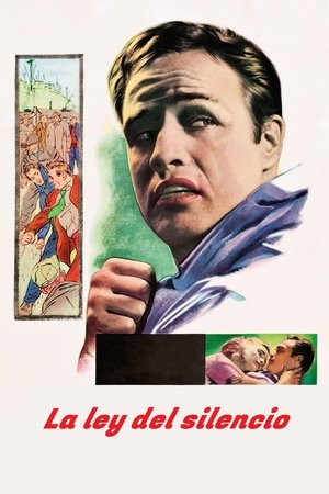 Póster de la película La ley del silencio
