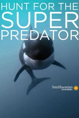 Póster de la película The Search for the Ocean's Super Predator