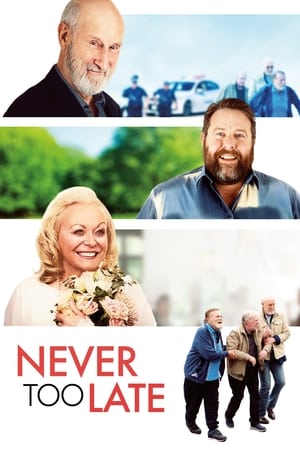 Póster de la película Never Too Late