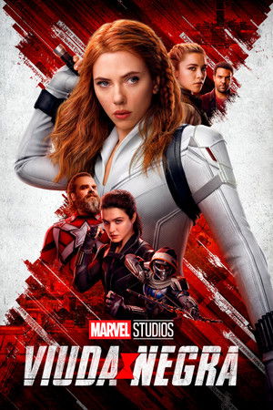 Viuda Negra