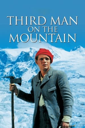 Póster de la película El tercer hombre en la montaña