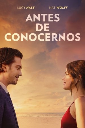 Póster de la película Antes de conocernos