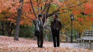 Quand Harry rencontre Sally…