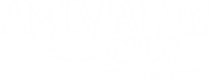 Animales Fantásticos: Y Dónde Encontrarlos