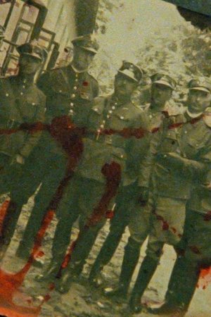 watch the katyn forest movie poster