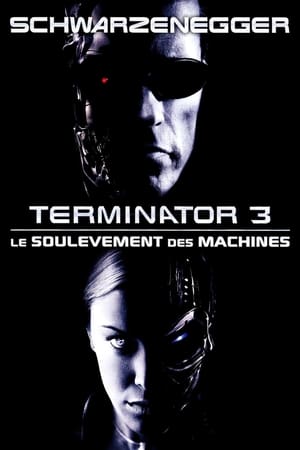 Film Terminator 3 : Le Soulèvement des Machines streaming VF gratuit complet