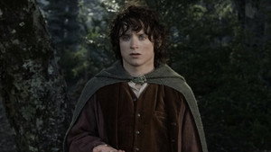 The Lord of the Rings: The Fellowship of the Ring