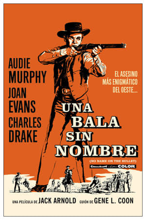 Póster de la película Una bala sin nombre