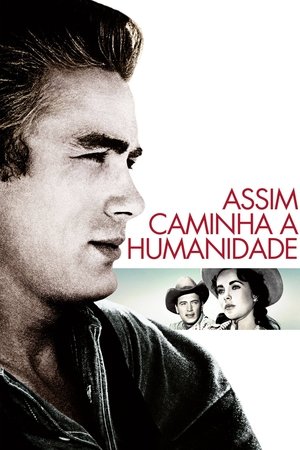 Filme