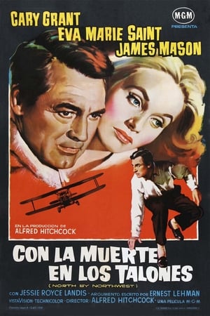 Póster de la película Con la muerte en los talones