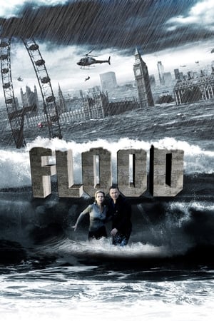 Póster de la película Inundacion