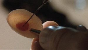 Gattaca
