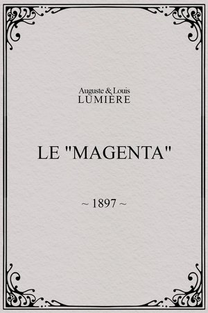 Le “Magenta”