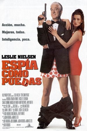 Póster de la película Espía como puedas