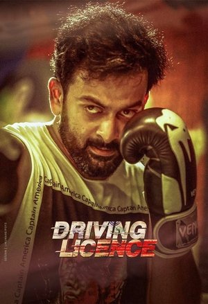 Póster de la película ഡ്രൈവിംഗ് ലൈസൻസ്