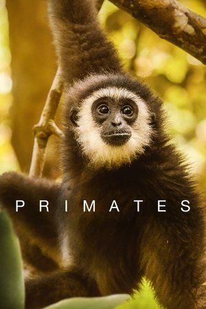 watch primates tv show poster