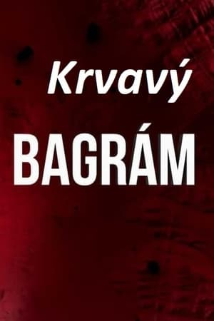 Póster de la película Krvavý Bagrám