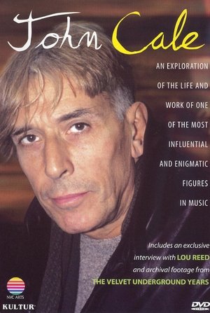 Póster de la película John Cale: An Exploration of His Life & Music