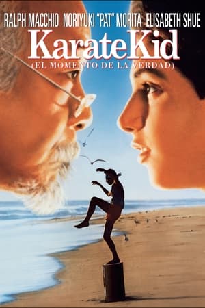 Póster de la película Karate Kid, el momento de la verdad