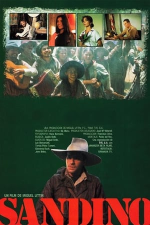 Póster de la película Sandino