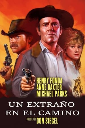 Póster de la película Un extraño en el camino