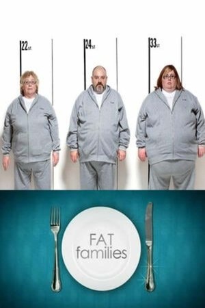 watch fat families tv show poster