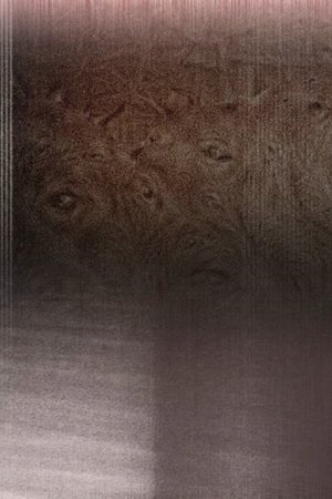 The Garden of Electric Delights