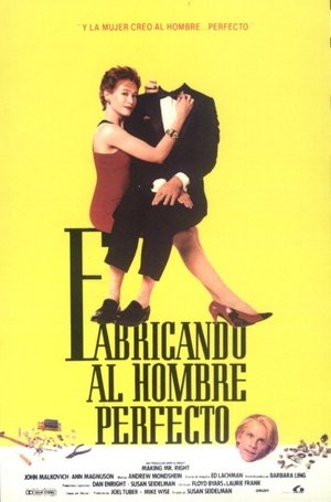 Póster de la película Fabricando al hombre perfecto