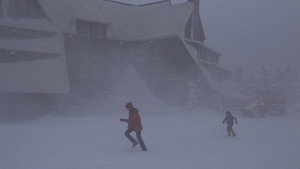 The Shining