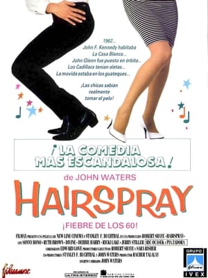 Póster de la película Hairspray