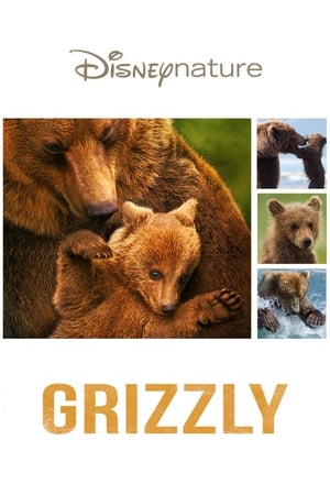 Film Grizzly streaming VF gratuit complet