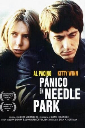 Póster de la película Pánico en Needle Park