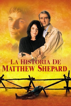 Póster de la película The Matthew Shepard Story