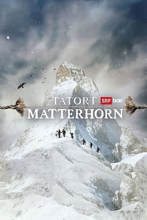 Póster de la película Tatort Matterhorn